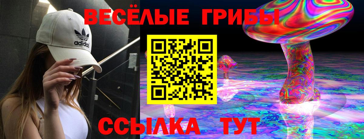 Псилоцибиновые грибы GOLDEN TEACHER  Вход с VPN  Аксай  Псилоцибиновые грибы MAGIC MUSHROOMS 